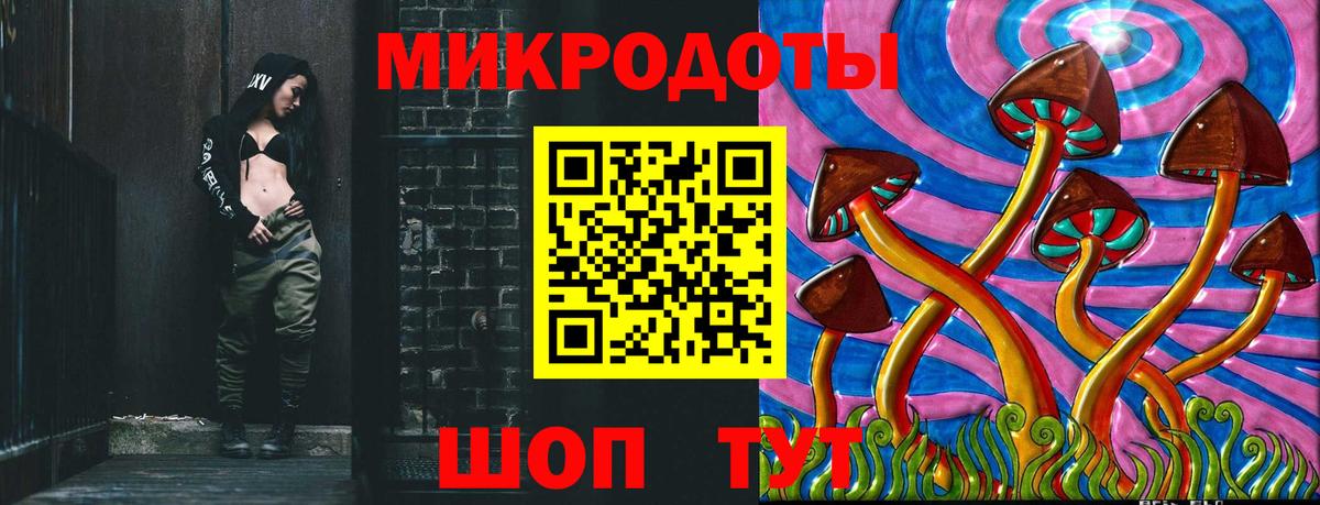 Галлюциногенные грибы Psilocybe Егорьевск