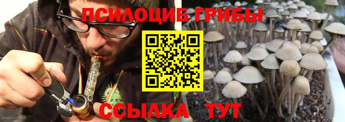 Егорьевск  ГАШ  Экстази  Лсд 25  Меф МЯУ МЯУ   ГАШИШ  Вход с VPN  Кокаин  МЕФ  Канабис 